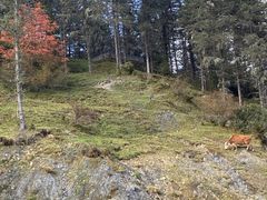 -硗碛藏寨·神木垒景区