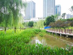 -沐仙湖湿地公园