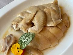 高汤冷水麻油鸡-炳胜品味(海印总店)