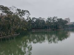 -西湖公园(鼓楼区)