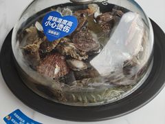 -大锅强·蒸海鲜青岛菜(金沙滩店)