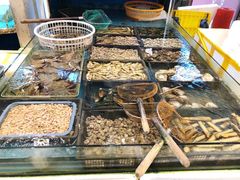 -启东海鲜人家(古美路店)