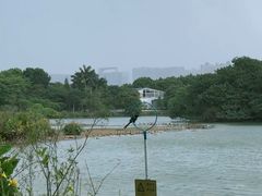 -海珠湖公园