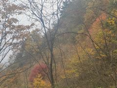 -塔云山