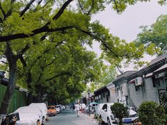 -北京国子监胡同