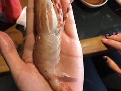 -和彩放题餐厅(酒仙桥店)