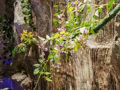 -老湘亲·品鉴湘菜(湖里店)