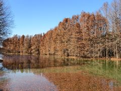 -上海海湾国家森林公园