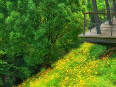 -西湖风景区-江洋畈生态公园