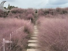 -嘉北郊野公园