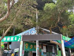 -芦仙山景区-飞越丛林探险乐园