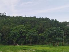 -石峰岩寺