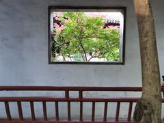 -秋霞圃