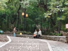 -灵岩山风景区