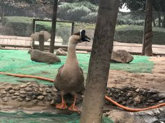 -陕西自然博物馆