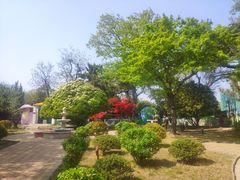 -八大关景区