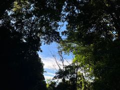 -深圳仙湖植物园