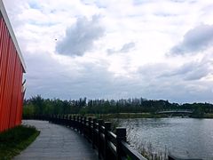 -上海长兴岛郊野公园