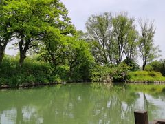 -西溪国家湿地公园