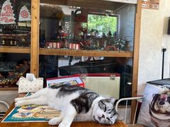 -小时光咖啡馆(开森度假森林店)