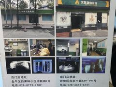 -半岛宠物医院24小时(科华中路店)