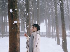 -武陵山森林公园