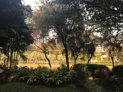 -东风公园