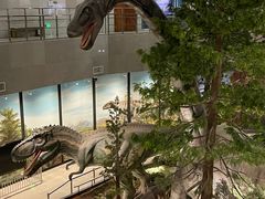 -湖南省地质博物馆