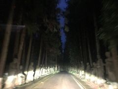 -武陵山森林公园