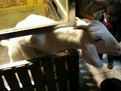 -上海大自然野生昆虫馆