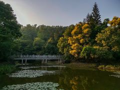 -深圳国际园林花卉博览园