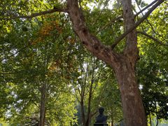 -中国政法大学(昌平校区)