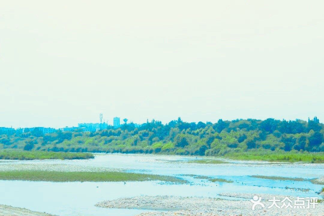 最近的花也开得好，河坡上长长一条粉色花带