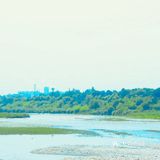 最近的花也开得好，河坡上长长一条粉色花带