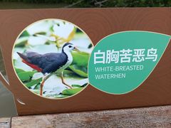 -东寨港红树林旅游区