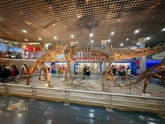 -国家自然博物馆