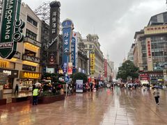 -沈大成(南京东路店)