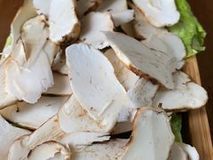 -云朵石锅鱼·野生菌餐厅(蒗放店)