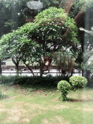-莉泽月子中心(凯旋江景店)