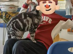 -平行世界·猫咖(首经贸店)