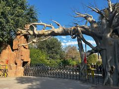 -红山国家森林公园