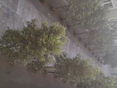 -广东科技学院(南城校区)