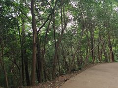 -紫金山山顶公园