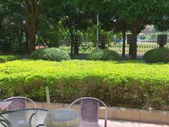 -咕摩柠·手打柠檬茶(金湖店)