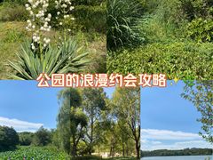 -昆山城市生态森林公园