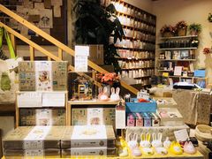 -猫的天空之城概念书店(丽江古城饮玉巷店)