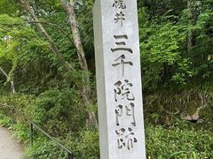 -三千院