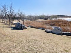 -马家湾湿地公园