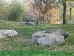 -紫竹院公园冰场