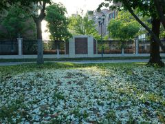 -浙江大学(海宁国际校区)